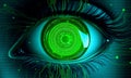 A close-up of a human eye with a neon green matrix code cascading down the iris Royalty Free Stock Photo