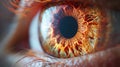 Close-up of a human eye with a vibrant, fire-like iris Royalty Free Stock Photo