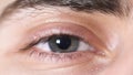 Close-up of human eyes. Beautiful eye of young man with pupil shrinking from light. Human eye gray and brown shade with