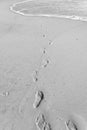 Close up of human footprints on the sand beach near the water. Footsteps on the shore. Black and white photo