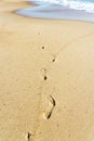 Close up of human footprints on the sand beach near the water. Footsteps on the shore. Textured background Royalty Free Stock Photo