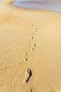 Close up of human footprints on the sand beach near the water. Footsteps on the shore. Textured background Royalty Free Stock Photo