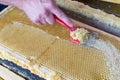 Close up of human hand extracting honey from honeycomb