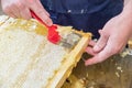 Close up of human hand extracting honey from honeycomb