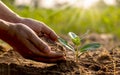 Close-up of a human hand holding a seedling, including planting the seedlings, the concept of Earth Day Royalty Free Stock Photo