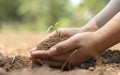 Close-up of a human hand holding a seedling including planting seedlings, Earth Day concept. Royalty Free Stock Photo