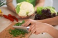Close-up of human hands cooking vegetables salad in kitchen. Healthy meal and vegetarian concept Royalty Free Stock Photo