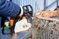 Close-up of human hands cutting tree trunk with chainsaw Royalty Free Stock Photo