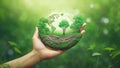 Close up of human hands holding green earth globe with forest on nature background Royalty Free Stock Photo