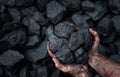 Close up of human hands holding pile of coal