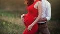 Close up of human hands holding pregnant belly, closeup happy family awaiting baby, standing on green grass, body part, young fami