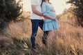 Close up of human hands holding pregnant belly, closeup happy family awaiting baby, standing on green grass, body part, young fami Royalty Free Stock Photo