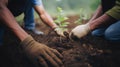 Close up human hands planting trees environment restoration.