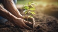 Close up human hands planting trees environment restoration.