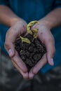 Close up of Human hands trying to Save mother nature by holding  plant in palms.Concept of saving earth and mother nature. Royalty Free Stock Photo