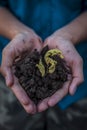 Close up of Human hands trying to Save mother nature by holding  plant in palms.Concept of saving earth and mother nature. Royalty Free Stock Photo