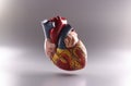 Human heart, anatomical medical model floating in air on grey background