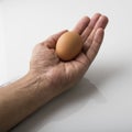Close up of a Human Palm Holding Brown Egg on White Background Shot in Studio Royalty Free Stock Photo