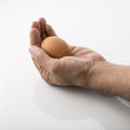 Close up of a Human Palm Holding Brown Egg on White Background Shot in Studio Royalty Free Stock Photo
