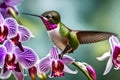 A close-up of a hummingbird in mid-flight, wings blurred with speed, sipping nectar from a vibrant orchid