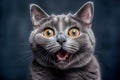 close up of Hungry evil cat shows teeth. Generative AI Royalty Free Stock Photo