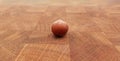 close up Huzelnut on wooden table background.