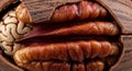 Close-up of a hybrid walnut-pecan shell, partially open. Inside, the textures of both a Royalty Free Stock Photo