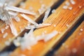 close-up of ice crystals on stationary wooden mill blades