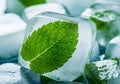 Close-up of an ice cube encapsulating a vibrant green mint leaf (Mentha), showcasing Royalty Free Stock Photo