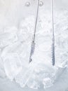 Close up of the Ice cube and ice tongs Royalty Free Stock Photo