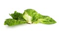 Close-up iceberg lettuce cabbage with big green salad leaves isolated on white background Royalty Free Stock Photo