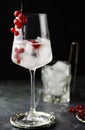 Close up of iced red currant drink. Fresh ice cold fruit cocktail in wine glass, refreshing summer red currant berry drink with on Royalty Free Stock Photo