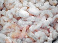 Close up of iced shrimps, seafood