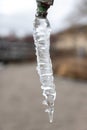 Close-up of icicle hanging from tap