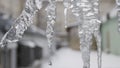 Close up for icicles with crystal texture on winter background. Stock footage. Water drops falling from clear Royalty Free Stock Photo