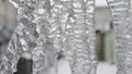 Close up for icicles with crystal texture on winter background. Stock footage. Water drops falling from clear Royalty Free Stock Photo