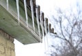 A close-up of icicles hanging hanging from the edge of the roof without a roof gutter as a sign of an ice dam Royalty Free Stock Photo