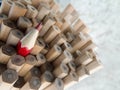 Close up of identical graphite pencils and one different red cr Royalty Free Stock Photo