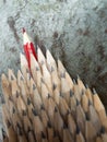 Close up of identical graphite pencils and one red leading crayo Royalty Free Stock Photo