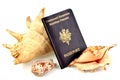 European passport with exotic seashells in closeup on white background