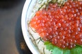 Close up ikura salmon roe