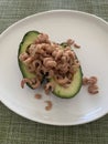 Close up image of avocado halves filled with grey shrimp on a white plate against a green background Royalty Free Stock Photo