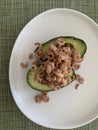 Close up image of avocado halves filled with grey shrimp on a white plate against a green background Royalty Free Stock Photo