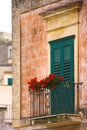 Close-up image of a balcony with green windows and a flowerpot with red flowers Royalty Free Stock Photo