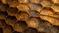 Close-up image of a beautiful honeycomb structure, showcasing the intricate hexagonal patterns and golden hues in natural light