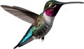 Close-up image of a Bee hummingbird bird. AI-generated.