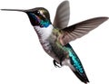 Close-up image of a Bee hummingbird bird. AI-generated.