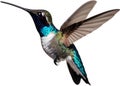 Close-up image of a Bee hummingbird bird. AI-generated.