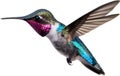 Close-up image of a Bee hummingbird bird. AI-generated.