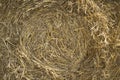 Close up image of big round yellow straw bales after harvest Straw, hay collection in the summer field.